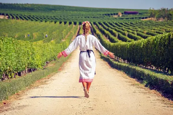 Europeiskt vinlandskap — jämför Polen och Georgien som naturvindestinationer